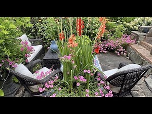 A Relaxing Mid-Summer Garden Highlight Tour. The Garden Is Full of Hummingbirds!