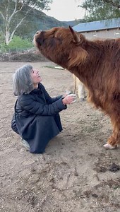 151K views · 10K reactions | Worry is a thief It steals the...