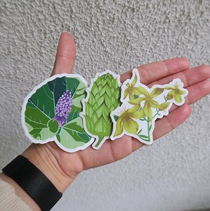Plant Sticker Pack, Gifts for Plant Lovers, Gifts for Gardeners, Vinyl Stickers - Etsy Canada