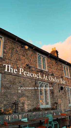 2.7K views · 17 reactions | The new menu has arrived at The Peacock at Owler Bar. ️ Seasonal flavours, comforting dishes and the skill of our kitchen team come together to showcase the very best of our Longbow food philosophy. Every plate reflects passion, precision and creativity. Book your table and be amongst the first to experience the new menu. #thepeacockowlerbar #newmenu #peakdistrictdining #seasonalflavours #cheftalent | The Peacock - Owler Bar | Facebook