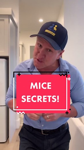 SECRET place on how mice are getting into your home & mice removal tips! #mice #micetrap #twinhomeexperts #diy