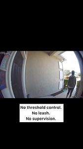 7.7K views · 643 reactions | Three simple ways to keep your dog safe  | Noah and Lincoln | Facebook