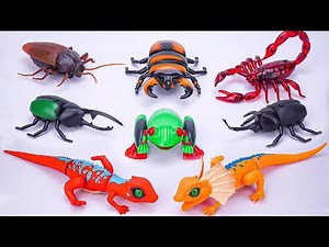 [Toy asmr] ZURU Robo Alive Lizard Series 2 & Remote Control Centipede Collection Playset ASMR 🦎