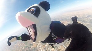 819K views · 882 reactions | Jimmy takes suggestions from the audience, including one asking Hashtag the Panda to skydive from a plane into the heart of the Tonight Show Farmstead Corn Maze in Meridian, Idaho. | The Tonight Show Starring Jimmy Fallon | Facebook