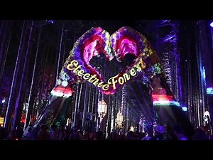 Electric Forest Music Festival Transformed Using Projection Mapping | Testimonial