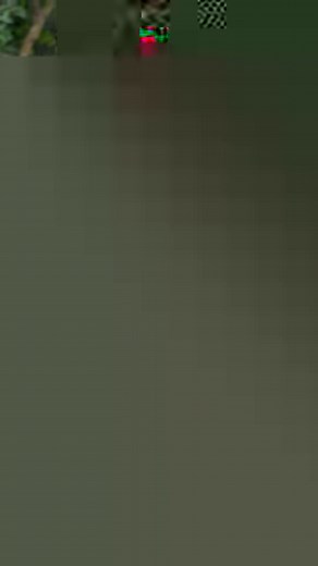 ~ The timeless tradition of Pehlwan Malish ~ Originating from the ancient wrestling arenas of India, this signature experience has been carefully preserved and adapted for modern wellness. Imagine the strength and vigor of Indian wrestlers, or "pehlwans," who relied on this therapeutic ritual to prepare for intense bouts and recover afterward. Our expert therapists use these traditional techniques, with rhythmic strokes and warm, specially formulated oils, to deeply relax muscles and boost circu