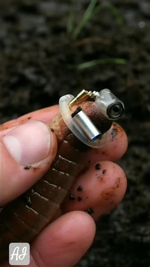 The Subterranean World of a Common Earthworm (Micro-Lens)