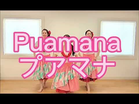 プアマナ #フラ #hula #puamana #フラダンス