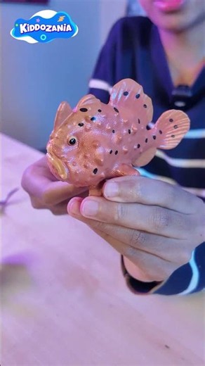 Amazing Sea Creatures | Learn Fun Facts with Hunter