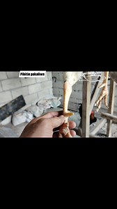 40K views · 504 reactions | Tutorial | Cortes Tutorial Vlogs | Facebook