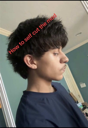 How to Self Cut a Mod Cut: Top & Sides (Part 1 of 3)