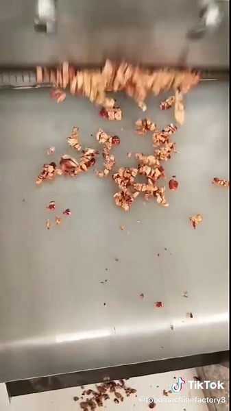 Dicer machine #dicer #cubecutter #datedicer #切丁机 #切肉机 | cotter machine