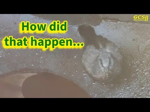 A model Tractor show first and what is that.....a bird or a plane?