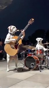 254K views · 1.8K reactions | Like no other players in music industry. ❤️❤️ Reelviral Facebook today trending searches...... | Bukata John | Facebook