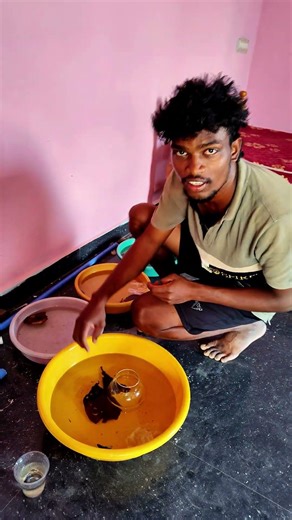 Can I breed Betta fish‼️⁉️#tamil #rajupetsvlog #shorts #pets #bettafish