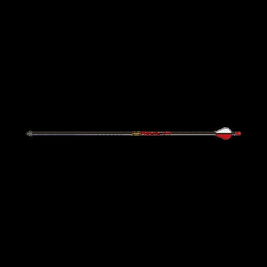 Kinetic Arrows .204