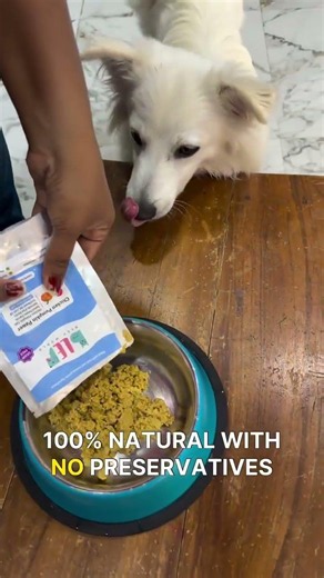BLEP Pet Food Review: Cleaner Labels = Less Smelly Poop! 💩🤫