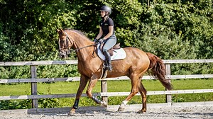 Collected canter: how to introduce it and common pitfalls to look out for