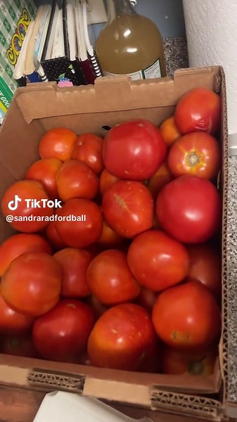 #canning #fyp #maters #canningtok