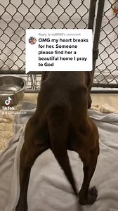 6.8K views · 276 reactions | Replying to @cb8080 Thank you @matthewmarquart1 for giving Ruby such a great life ❤️ | Judith Coleman | Facebook