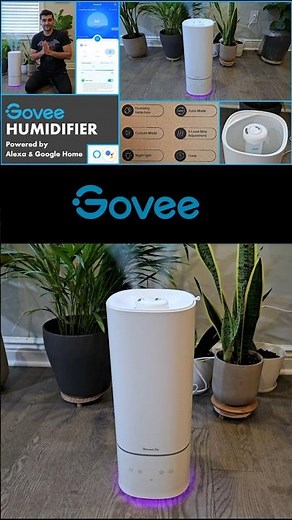 Govee Smart Humidifier Review 🔥| Powered By #alexa & #googlehome #govee #smarthumidifier #smarthome