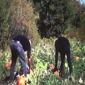 Best Funny Videos 2023 | Joepe Tubo Vlogs