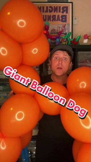 Replying to @gamerboyyy200 How to make a Giant balloon dog. #BalloonJosh #BalloonDog #BalloonChallenge #BalloonTutorial #TwistWithJosh