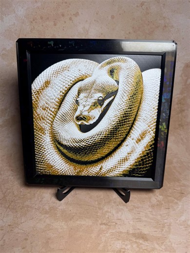 Ball Python 3D Print Art | Textured Reptile Wall Decor | Framed Snake Portrait - Etsy