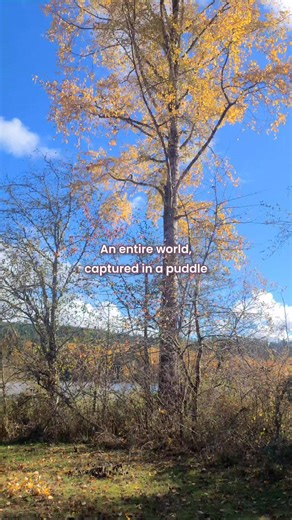 Don't forget to notice the small beautiful things around you everyday 🩷 | Lonely Pines Farm