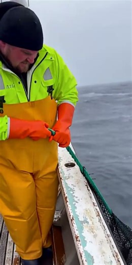 Fisherman Pulls Up TERRIFYING Creature From the Ocean | Found Footage #scaryshorts #viralshorts