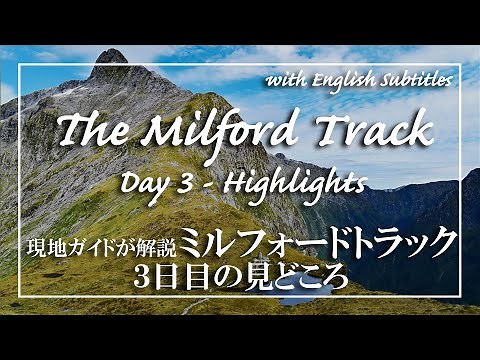 無料オンラインツアー③ // 快晴360°絶景マッキノン峠 + 大雨で大迫力NZ最大の滝【ミルフォードトラック 3日目】憧れの"世界で最も美しい散歩道"を現地ガイドが解説！