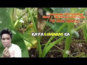 WALANG SALA SI! FPJ's BATANG QUIAPO FANMADE THEORY MY OWN VIDEO AND MY OWN VOICE STORYTELLING