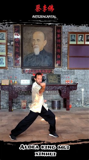 🥋 Entrenando Choy Lee Fut Kung Fu Xinhui