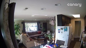 Wait for it. | Canary