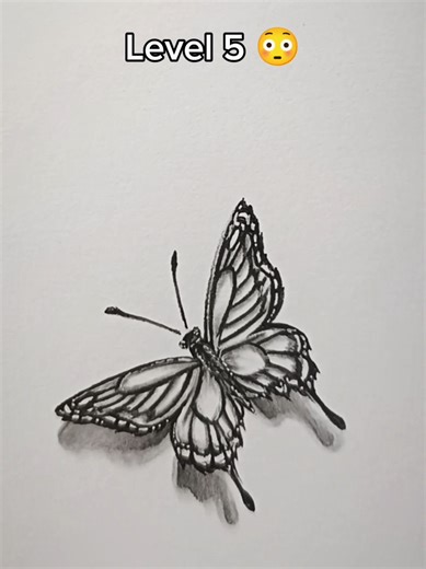 How to Draw a Butterfly in 6 Easy Steps