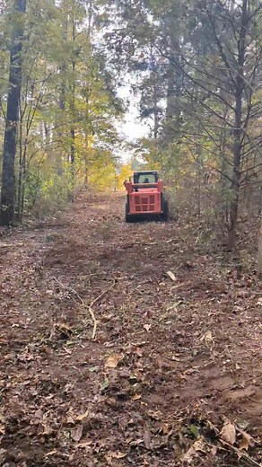 Cutting through the chaos 🌾💥 #brushcutting #mulching | RLL Services LLC