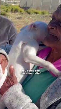 Puppy’s Mom Couldn’t Believe How Big His Head Got | The Dodo