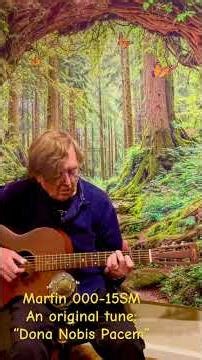 A Martin 000-15sm. My original tune: “dona nobis pacem” #fingerstyleguitar #martinguitar