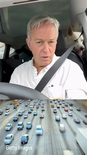 You've all received Sigalerts before. Ever wondered what the 'Sig' stands for? NBC 7's Mark Mullen has the answer. | NBC 7 San Diego