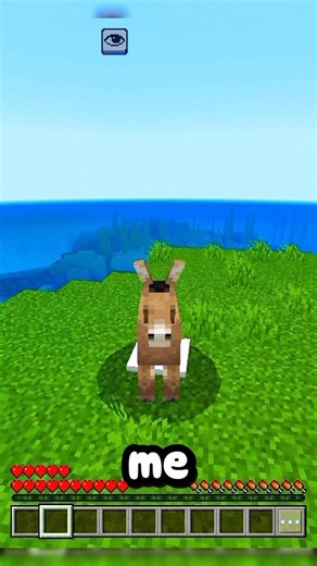 🎮 minecraft but I'm donkey 🐴