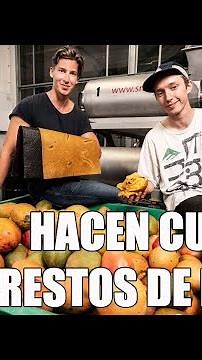 Hacen cuero vegano de mango