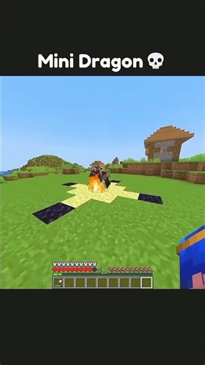 minecraft mini dragon tips and tricks #shortfeed #minecraft #hastag