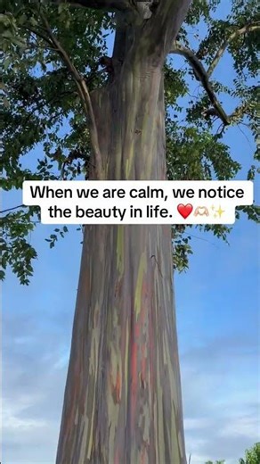What Changes When Your Nervous System Calms