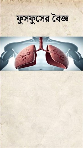 ফুসফুসের বৈজ্ঞানিক নাম কি?part-261#shorts