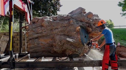 201K views · 2.1K reactions | Sawing a Part of the Biggest Sugar Maple in New York 蝹 #Woodworking | Matt Cremona | Facebook