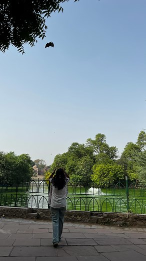 11K views · 576 reactions | ✨ Homemade DIY Collagen Drink for...