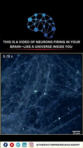 Your Brain is a Universe: How Neurons Fire to Shape Your Reality 🌌🧠✨