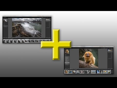 How to Combine MULTIPLE Lightroom Catalogs