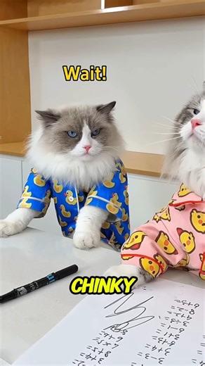 “The Fun Math Trick That Turned Study Time into a Game” #shortvideo