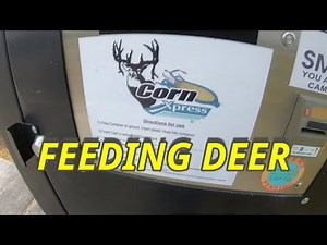 Pay buy the gallon corn dispenser, let's see how it works.